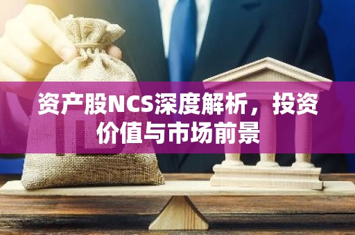 资产股NCS深度解析，投资价值与市场前景