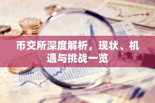 币交所深度解析，现状、机遇与挑战一览
