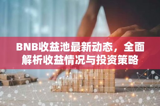 BNB收益池最新动态，全面解析收益情况与投资策略