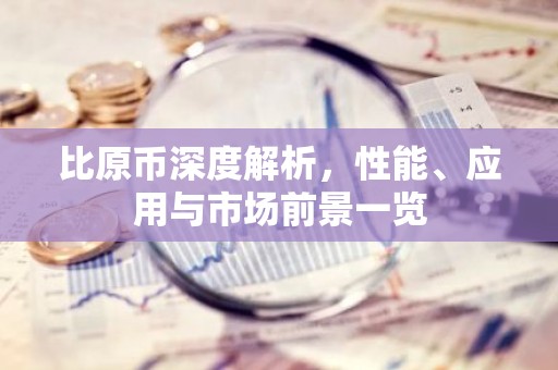 比原币深度解析，性能、应用与市场前景一览