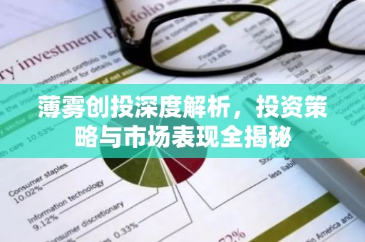 薄雾创投深度解析，投资策略与市场表现全揭秘
