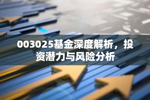 003025基金深度解析，投资潜力与风险分析