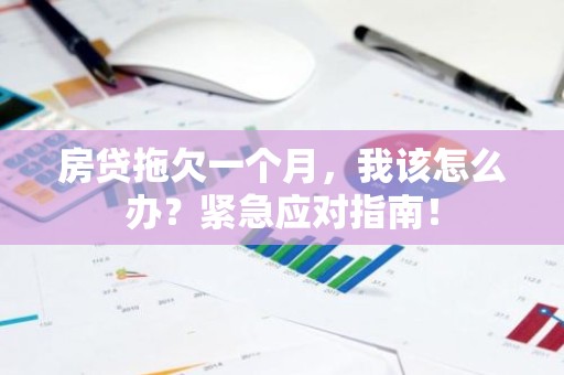 房贷拖欠一个月，我该怎么办？紧急应对指南！