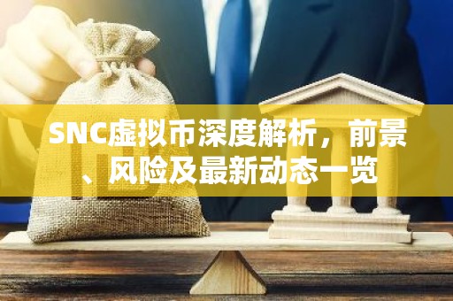 SNC虚拟币深度解析，前景、风险及最新动态一览