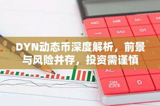 DYN动态币深度解析，前景与风险并存，投资需谨慎