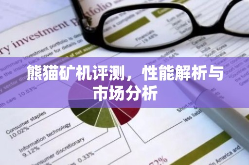 熊猫矿机评测，性能解析与市场分析