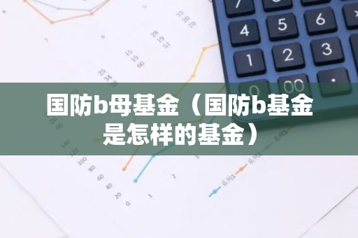 国防b母基金（国防b基金是怎样的基金）