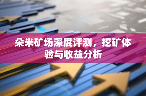 朵米矿场深度评测，挖矿体验与收益分析
