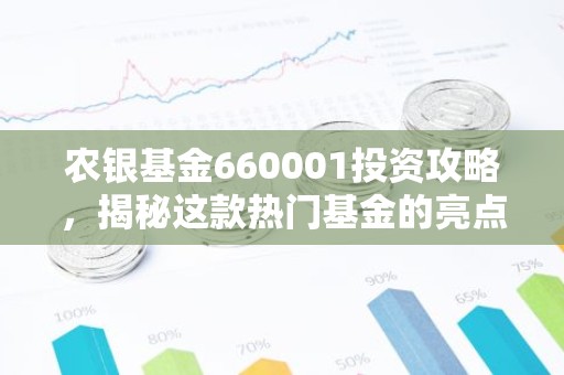 农银基金660001投资攻略，揭秘这款热门基金的亮点与风险