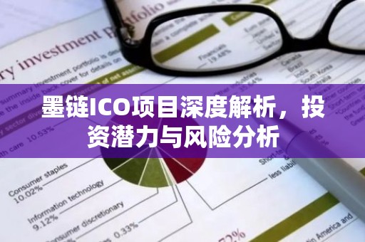 墨链ICO项目深度解析，投资潜力与风险分析