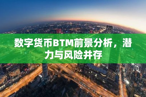 数字货币BTM前景分析，潜力与风险并存
