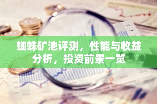蜘蛛矿池评测，性能与收益分析，投资前景一览