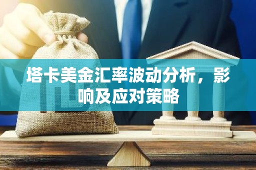 塔卡美金汇率波动分析，影响及应对策略