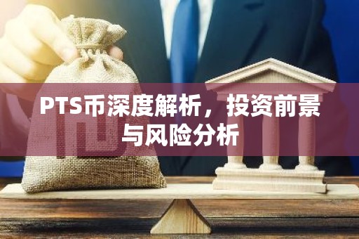PTS币深度解析，投资前景与风险分析