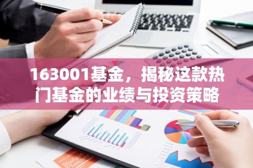163001基金，揭秘这款热门基金的业绩与投资策略