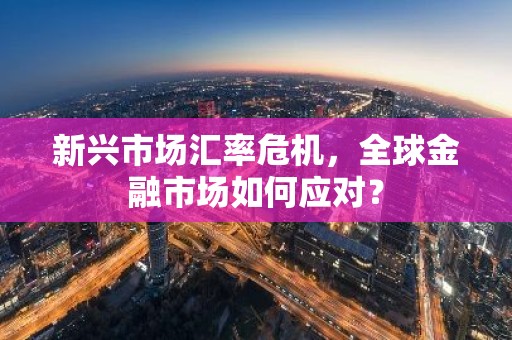 新兴市场汇率危机，全球金融市场如何应对？