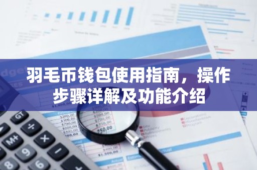 羽毛币钱包使用指南，操作步骤详解及功能介绍
