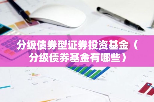 分级债券型证券投资基金（分级债券基金有哪些）