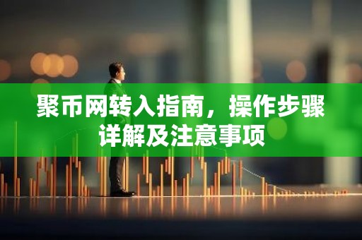 聚币网转入指南，操作步骤详解及注意事项
