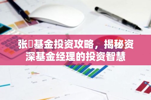 张珣基金投资攻略，揭秘资深基金经理的投资智慧