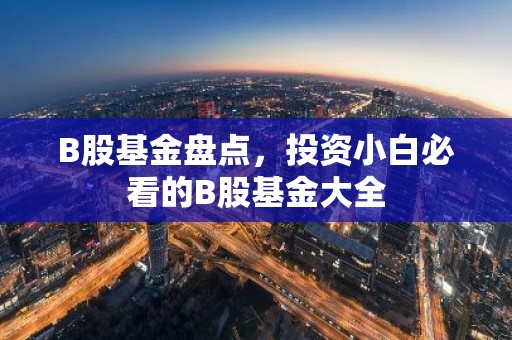 B股基金盘点，投资小白必看的B股基金大全