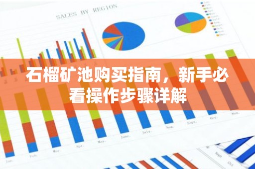 石榴矿池购买指南，新手必看操作步骤详解