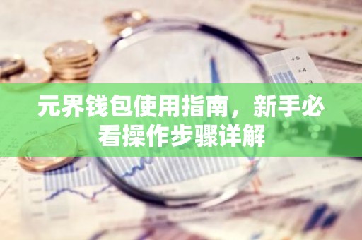 元界钱包使用指南，新手必看操作步骤详解