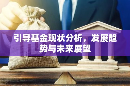 引导基金现状分析，发展趋势与未来展望