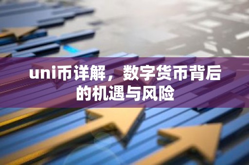uni币详解，数字货币背后的机遇与风险