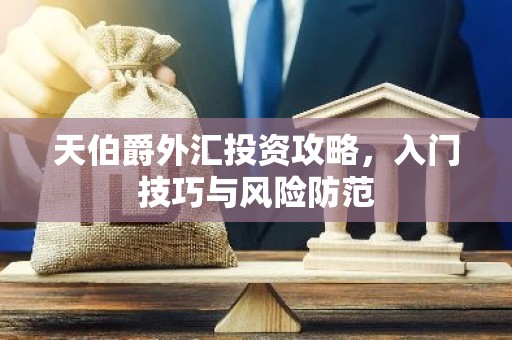天伯爵外汇投资攻略，入门技巧与风险防范