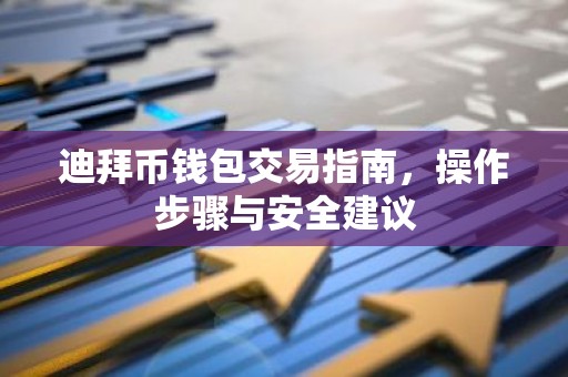 迪拜币钱包交易指南，操作步骤与安全建议