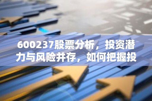 600237股票分析，投资潜力与风险并存，如何把握投资机会？