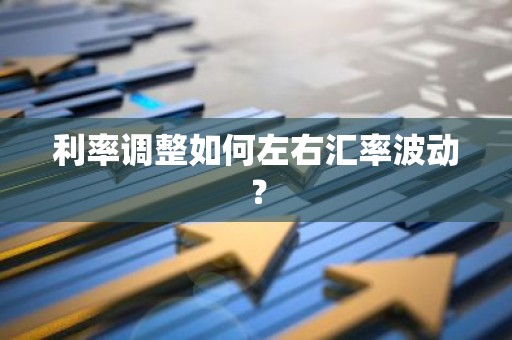利率调整如何左右汇率波动？