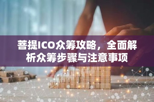 菩提ICO众筹攻略，全面解析众筹步骤与注意事项