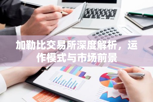 加勒比交易所深度解析，运作模式与市场前景