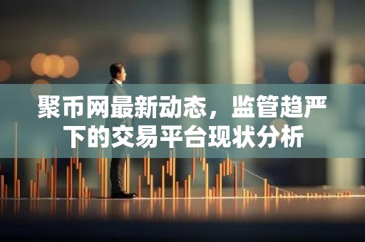 聚币网最新动态，监管趋严下的交易平台现状分析