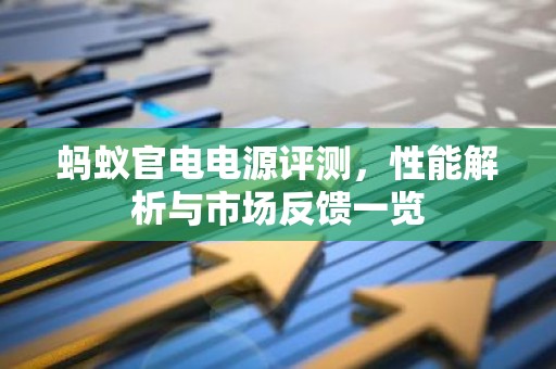 蚂蚁官电电源评测，性能解析与市场反馈一览
