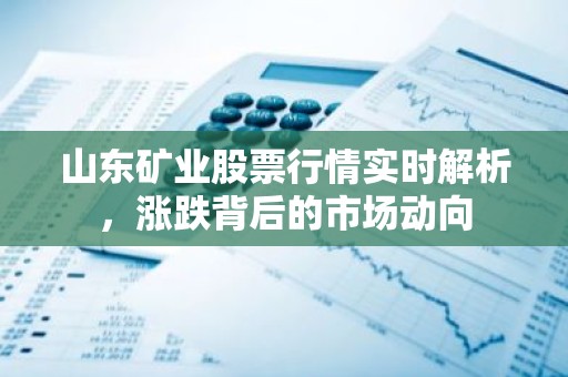 山东矿业股票行情实时解析，涨跌背后的市场动向