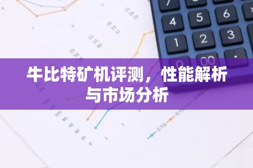 牛比特矿机评测，性能解析与市场分析