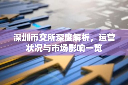 深圳币交所深度解析，运营状况与市场影响一览