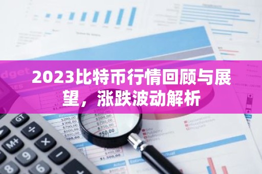 2023比特币行情回顾与展望，涨跌波动解析