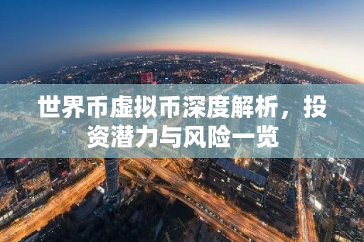 世界币虚拟币深度解析，投资潜力与风险一览