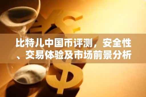 比特儿中国币评测，安全性、交易体验及市场前景分析
