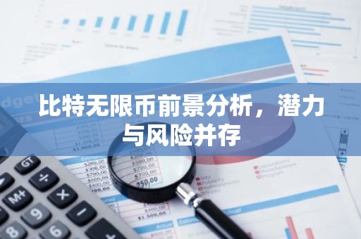 比特无限币前景分析，潜力与风险并存