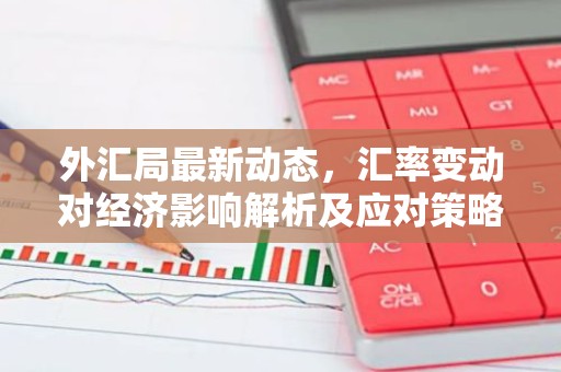 外汇局最新动态，汇率变动对经济影响解析及应对策略