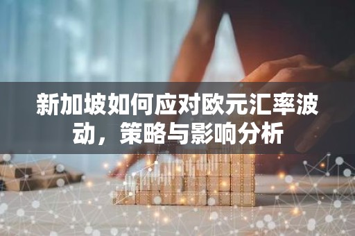 新加坡如何应对欧元汇率波动，策略与影响分析