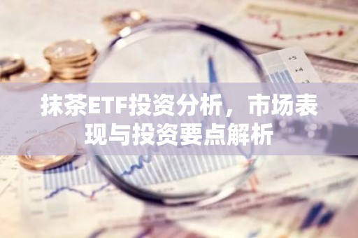 抹茶ETF投资分析，市场表现与投资要点解析