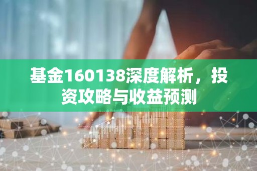 基金160138深度解析，投资攻略与收益预测