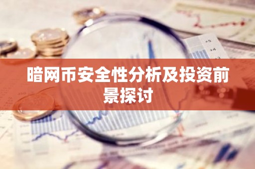 暗网币安全性分析及投资前景探讨