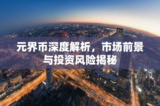 元界币深度解析，市场前景与投资风险揭秘